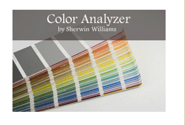 color visualizer